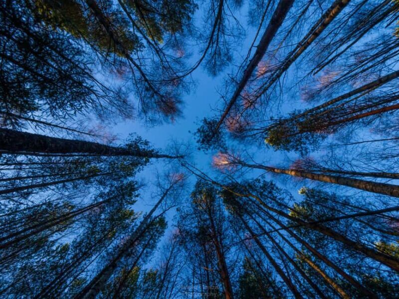 Oulu: Guided Fatbike Tour From Nallikari Around Hietasaari - Introduction: Discovering Oulu on Two Wheels