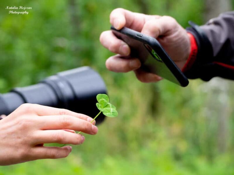 Oulu: Hietasaari Family Nature Walk with Picnic - Itinerary Breakdown