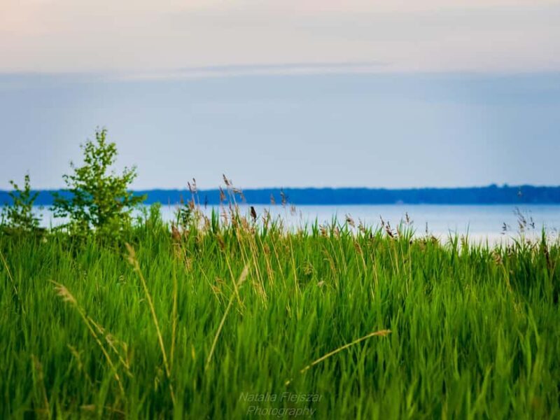 Oulu: Hietasaari Family Nature Walk with Picnic - What’s Included & What to Bring
