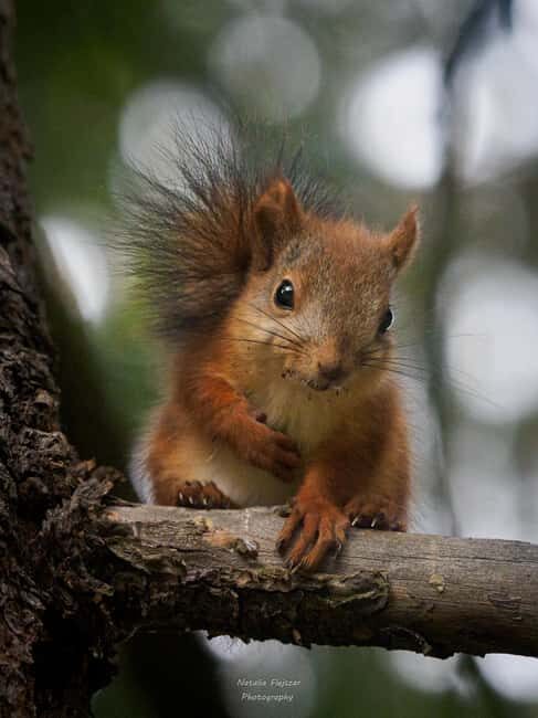Oulu: Hietasaari Family Nature Walk with Picnic - Who Should Consider This Tour?