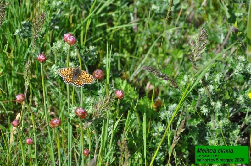 OUR FANTASTIC NATIONAL PARK! - Key Points