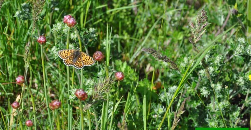 OUR FANTASTIC NATIONAL PARK! - Who Would Enjoy This Tour Most?