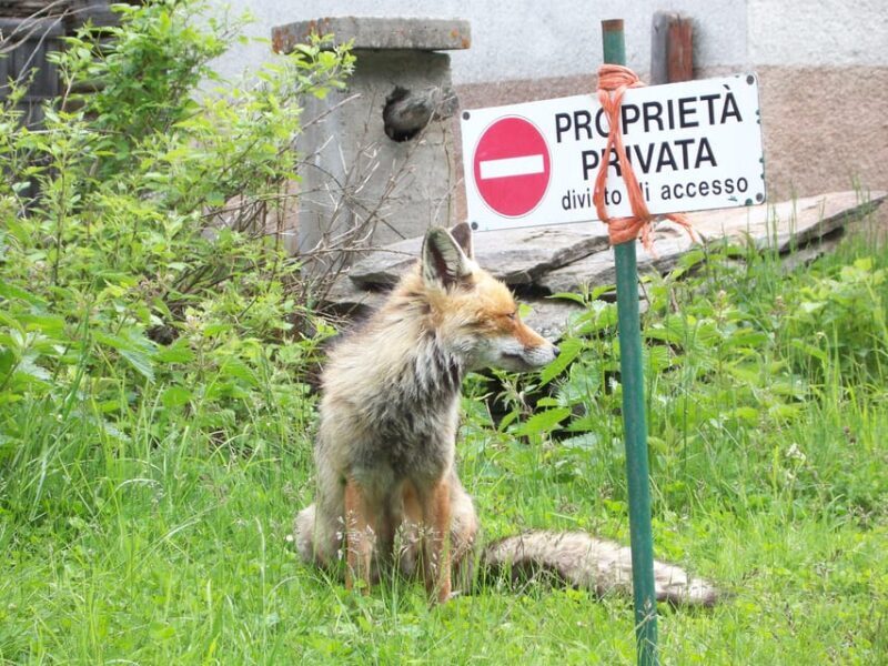 OUR FANTASTIC NATIONAL PARK! - Final Thoughts: The True Value of the Experience