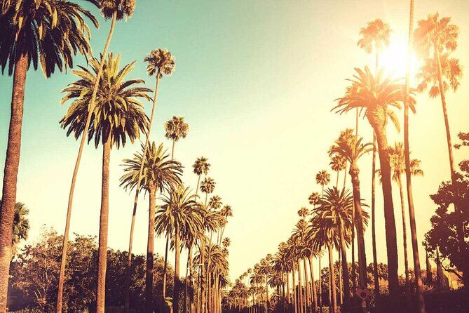 Our Signature Tour: 3.5-Hour LA Story Tour - FAQ