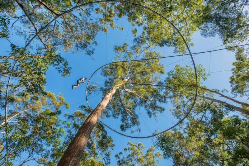 Ourimbah: Central Coast Zipcoaster - Key Points