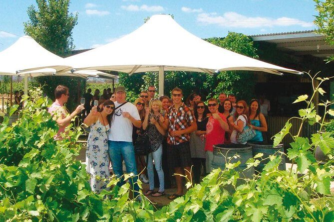 Out For The Afternoon - Half Day of Indulgence in the Swan Valley - An Introduction to Swan Valley’s Charm and What to Expect