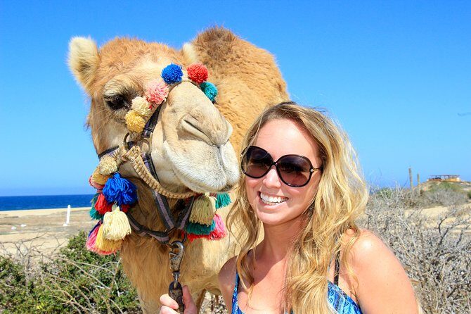 Outback Camel Ride - What Is the Outback Camel Ride All About?