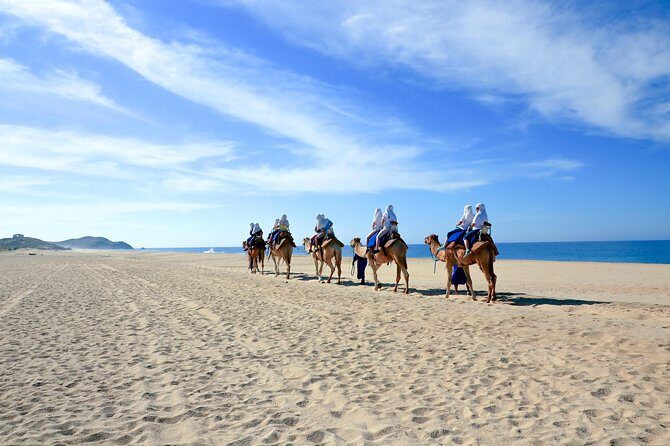 Outback Camel Ride - Who Will Love This Tour?
