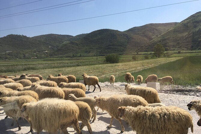 Outdoor Experience in Amantia Archeological Park & Brataj Bidge - The Experience of Travel: What You Can Expect