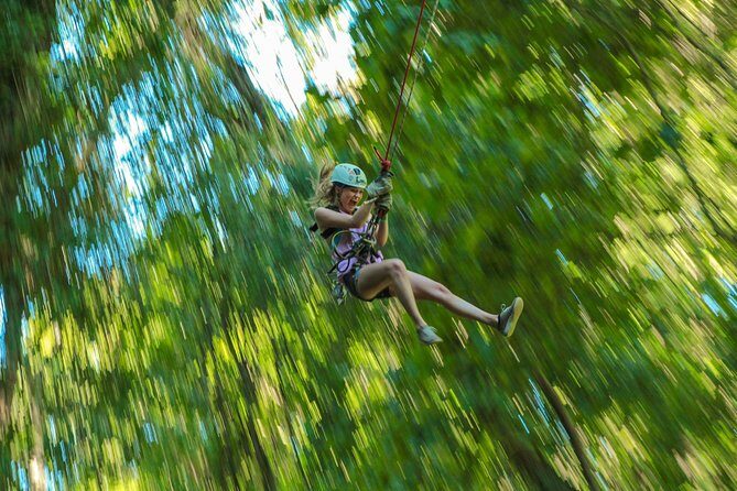 Outdoor Ziplining and UTV Adventure from Los Cabos - Who Will Love This Tour?