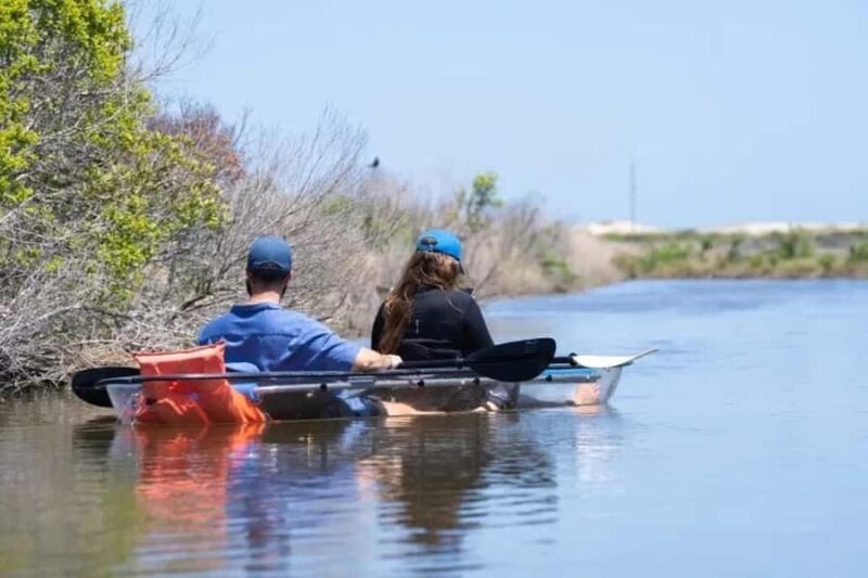 Outer Banks: Bodie Island Clear Kayak Tour - An Overview of the Bodie Island Clear Kayak Tour