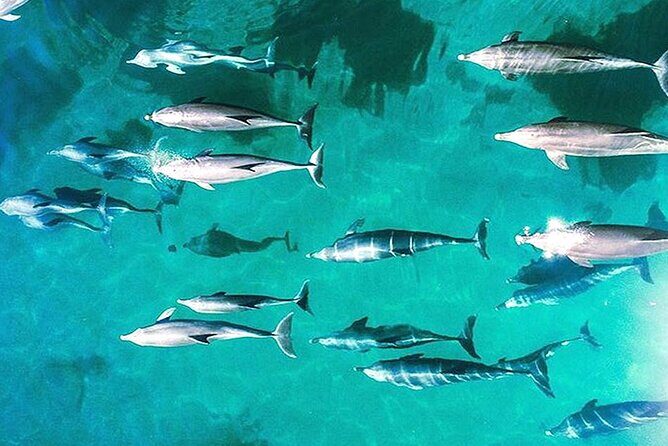 Outer Reef Odyssey - 40 minute Reef Scenic Flight - An In-Depth Look at the Outer Reef Odyssey Experience