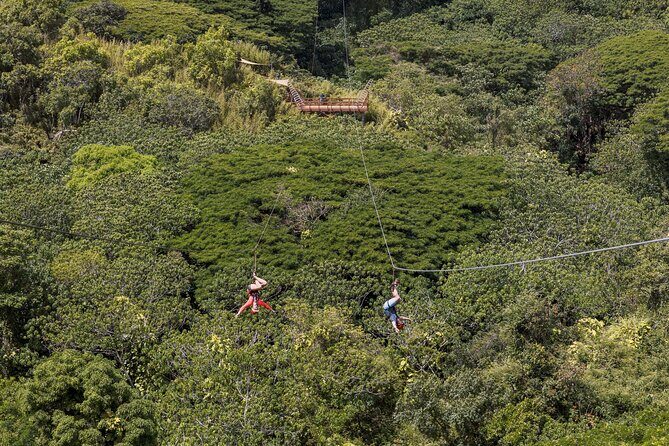 Outfitters Kauai: EXCLUSIVE Waterfall, Kayak and Zipline Safari - An In-Depth Look at the Experience