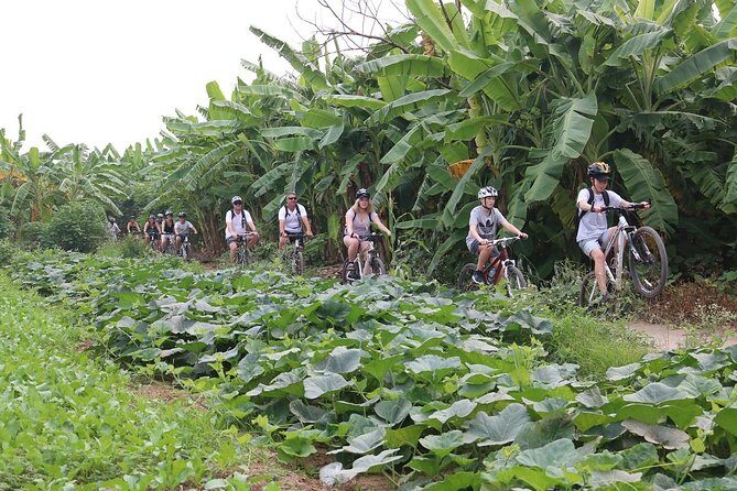 Outskirts Hanoi Cycling Tour Half-Day - Final Thoughts