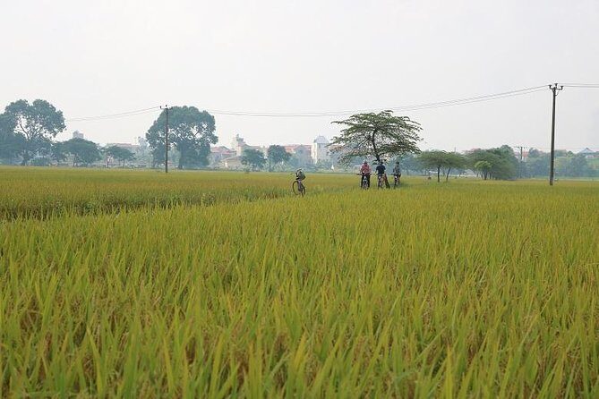 Outskirts Hanoi Cycling Tour Half-Day - FAQ