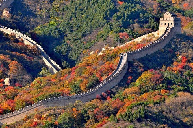 Outstanding Badaling Great Wall Layover Tour from Tianjin Cruise Port - A Deep Dive into the Tour Experience