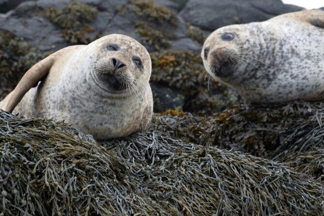 Over The Sea to (secret) Skye - Crossing the Sea on the Skye Ferry