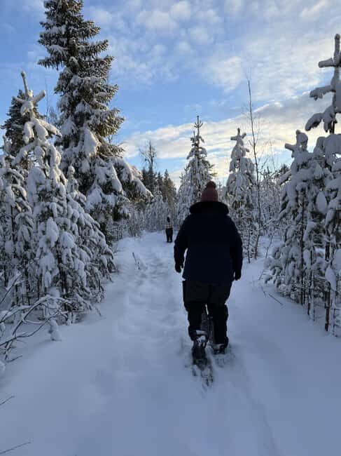 Överkalix - Lapland : Full-Day Snowshoe Tour with Lunch - An In-Depth Look at the Snowshoe Tour Experience