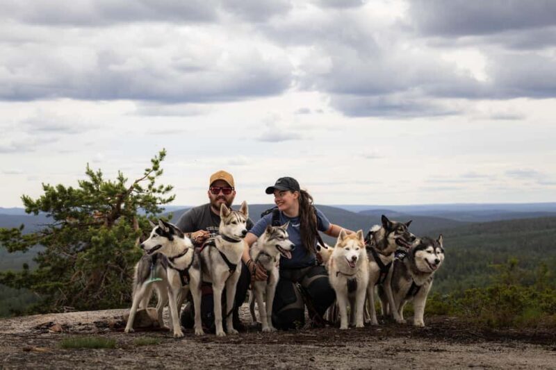 Överkalix - Lapland : Husky Cuddle and Fika Experience - Key Points