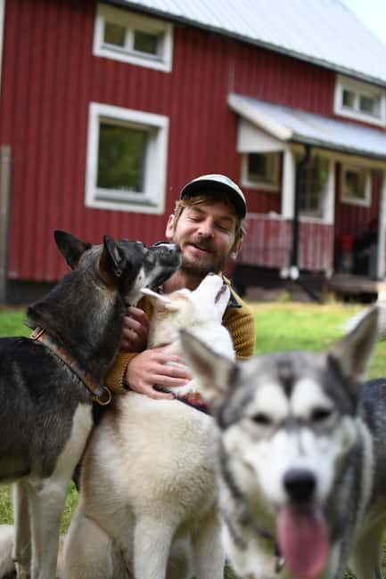 Överkalix - Lapland : Husky Cuddle and Fika Experience - Value and Practicalities