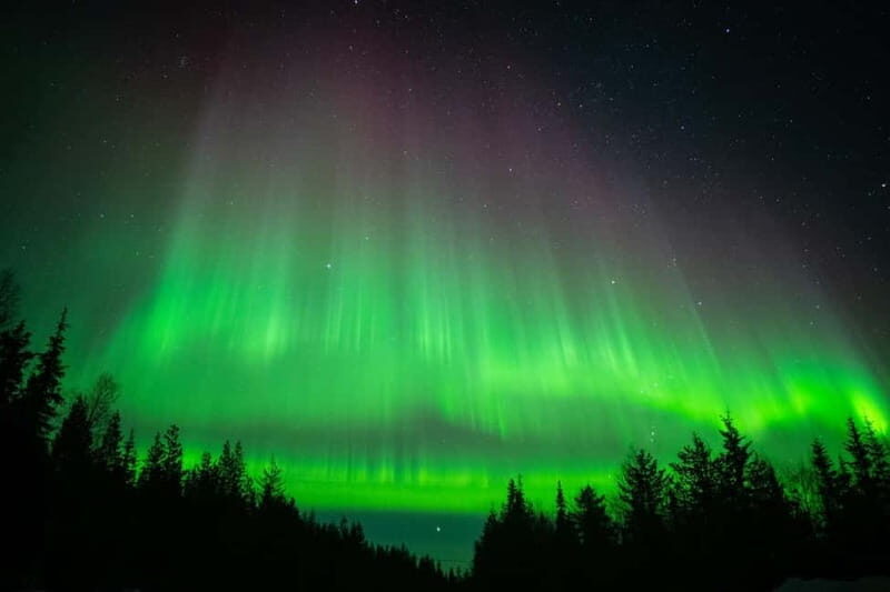 Överkalix - Lapland : Snowmobile Tour with Northern Lights - Överkalix - Lapland: Snowmobile Tour with Northern Lights