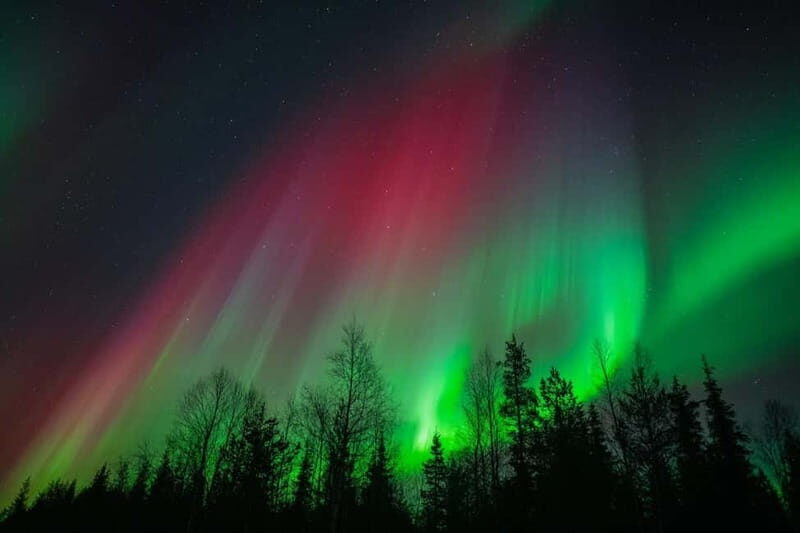 Överkalix - Lapland : Snowmobile Tour with Northern Lights - Key Points