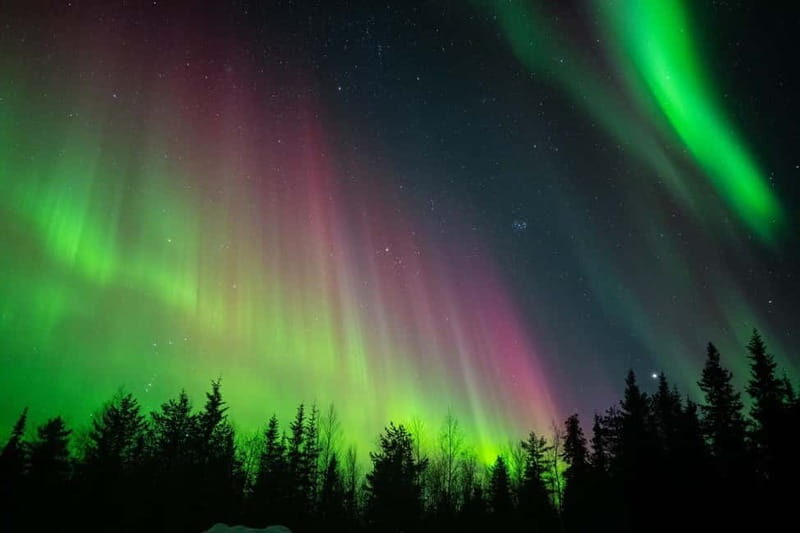 Överkalix - Lapland : Snowmobile Tour with Northern Lights - The Route and Itinerary: What to Expect