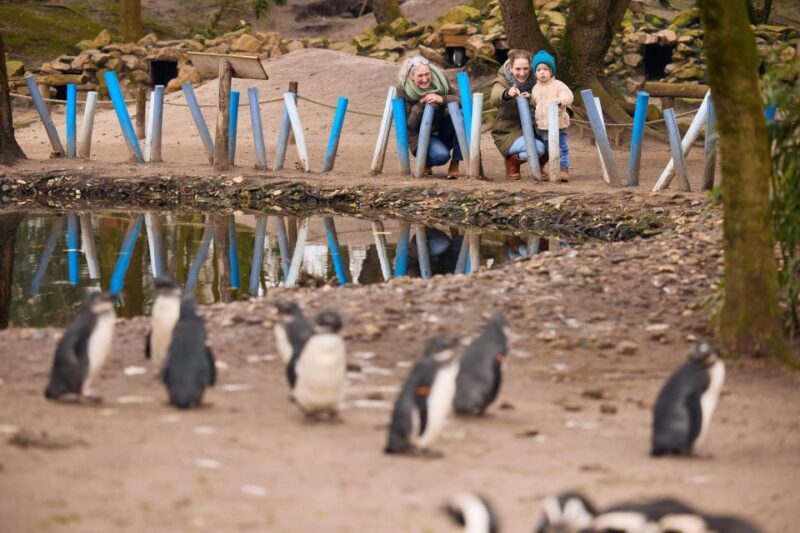 Overloon: ZooParc Entrance Ticket - Who Is This Experience Best Suited For?