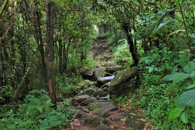 Overnight Adventure Trekking in Knuckles - Exploring the Knuckles Mountain Range: An Authentic Overnight Trekking Adventure