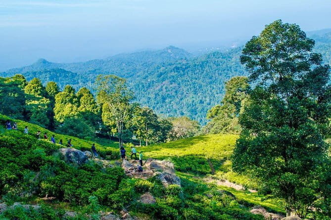 Overnight All-Inclusive Tea Plantation Adventure in Kandy - Day 1: Journey into the Hill Country