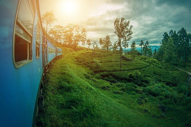 Overnight All-Inclusive Tea Plantation Adventure in Kandy - Who Is This Tour Best For?