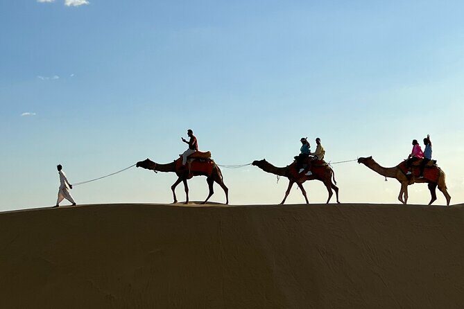 Overnight Camel Safari in Thar Desert - What Could Be Better?
