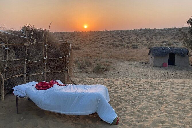 Overnight Camel Safari: Non-Touristic, Sleep Under the Stars! - The Experience in Detail