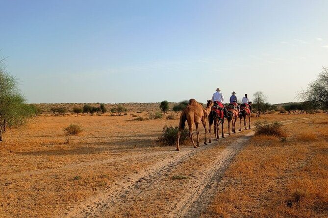 Overnight Camel Safari: Non-Touristic, Sleep Under the Stars! - What’s Not Included