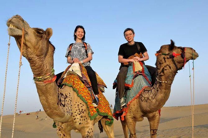 Overnight camel safari (non_touristic) - What to Expect from the Camel Safari Experience