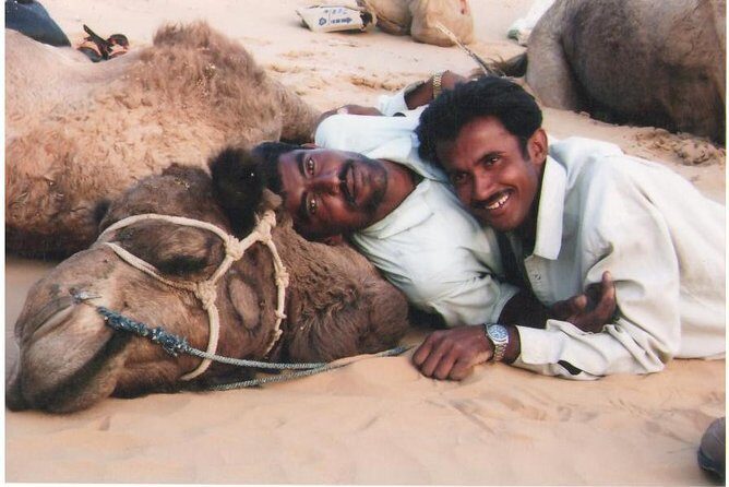 Overnight Camel Safari (remote And Isolated) - An In-Depth Look at the Camel Safari Experience