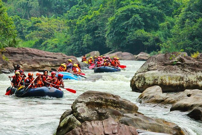 Overnight Camping Adventure Experience at Kitulgala - Who Is This Tour For?