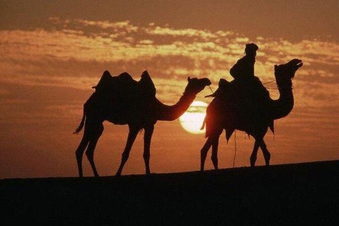 Overnight Camping With Camel Safari In Jaisalmer - Accommodation and Meals: What You Get