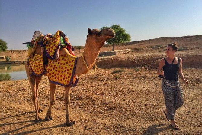Overnight Camping With Camel Safari In Jaisalmer - Who Should Consider This Tour?