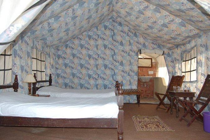Overnight Camping With Camel Safari In Jodhpur - The Camel Safari: A Peak Experience in Rajasthan