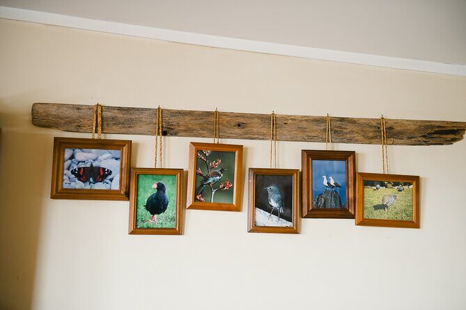 Overnight Experience Tour on Kapiti Island - FAQ