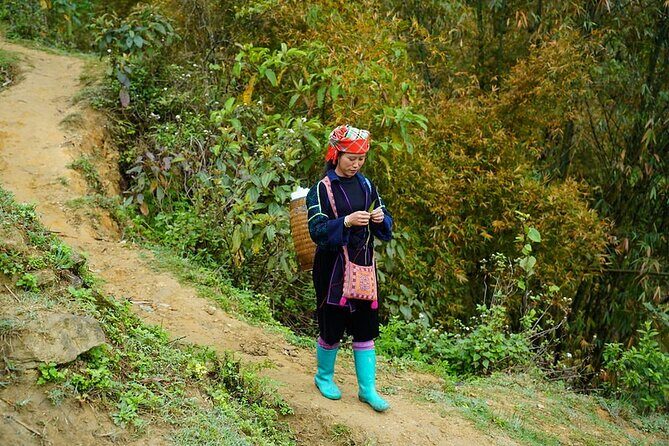 Overnight homestay in Sapa 2 days 1 night - The Sum Up