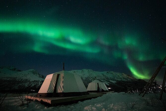 Overnight Stay in Lavvu and Reindeer Feeding - Exploring the Overnight Stay in Lavvu and Reindeer Feeding Tour in Tromsø
