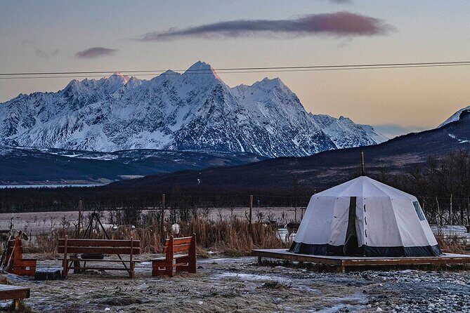 Overnight Stay in Lavvu and Reindeer Feeding - Key Points