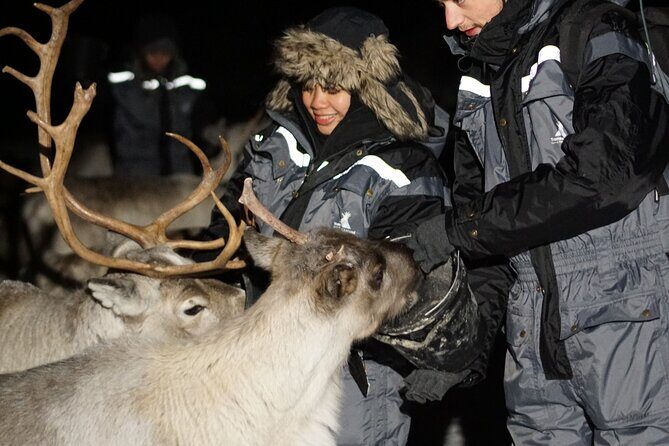 Overnight Stay in Lavvu and Reindeer Feeding - Practical Details & Value