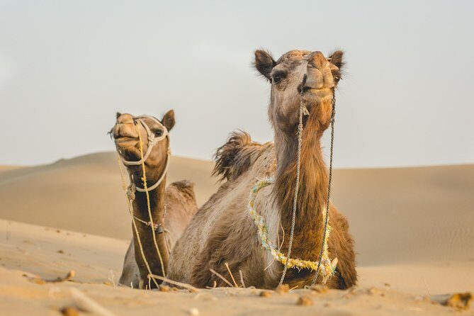 Overnight stay in the Desert - FAQs