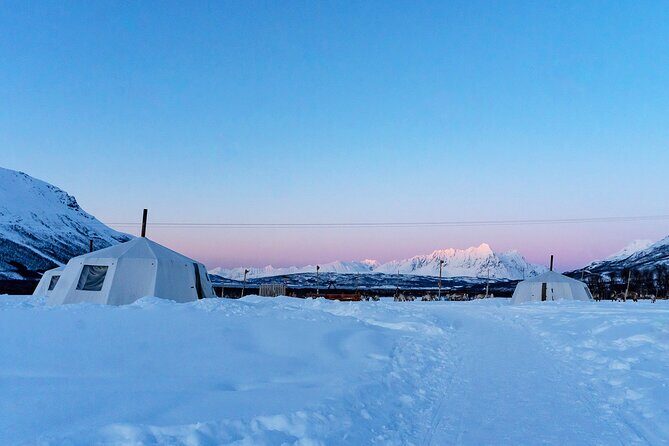 Overnight Stay with Reindeer Sledding & Feeding - A Deep Dive into the Arctic Adventure
