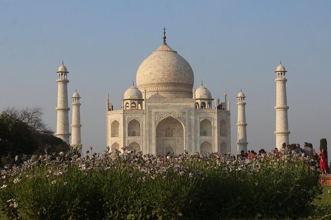 Overnight Taj Mahal Tour From Delhi By Car - Real Experiences and Authentic Insights from Reviews