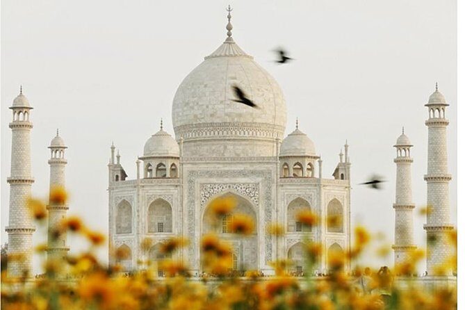 Overnight trip to Delhi and Agra - The Practical Bits: What’s Included and What’s Not