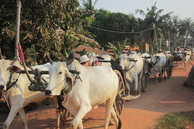 Ox-cart Culture Tour, Countryside Experince in Siem Reap - What’s Included and What to Expect